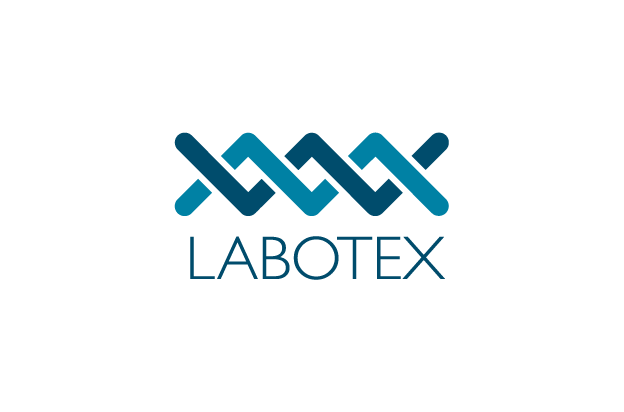 Labotex_logoonly_brandcard